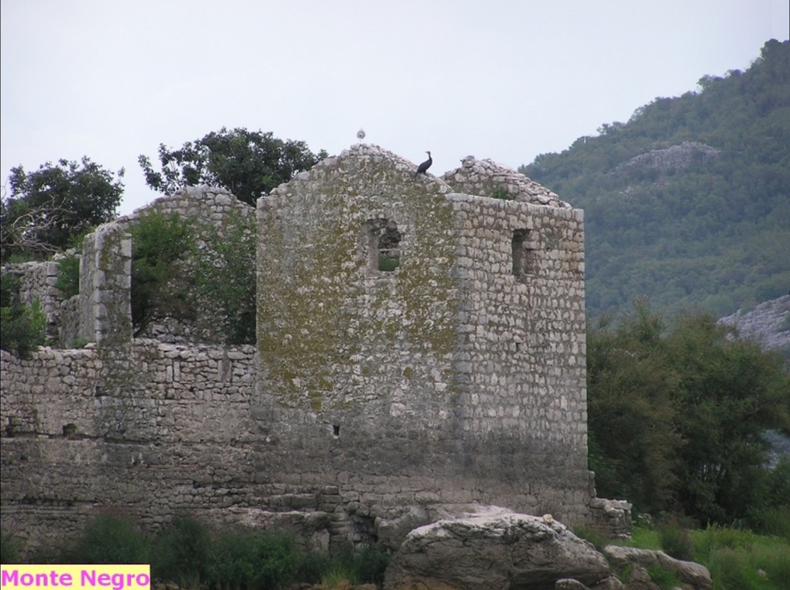 Grmožur