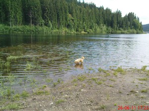 dsc04581.jpg