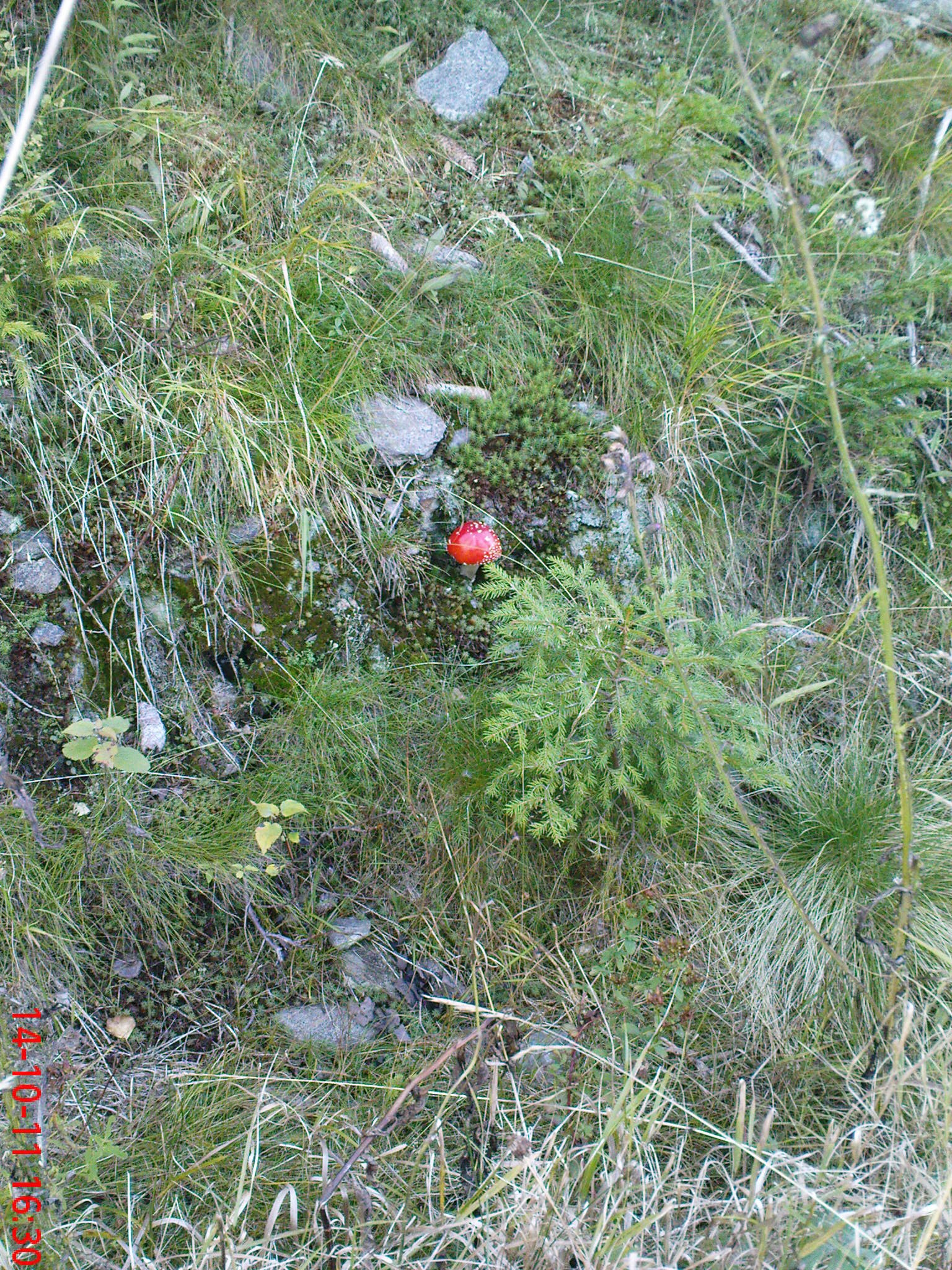 dsc05583.jpg