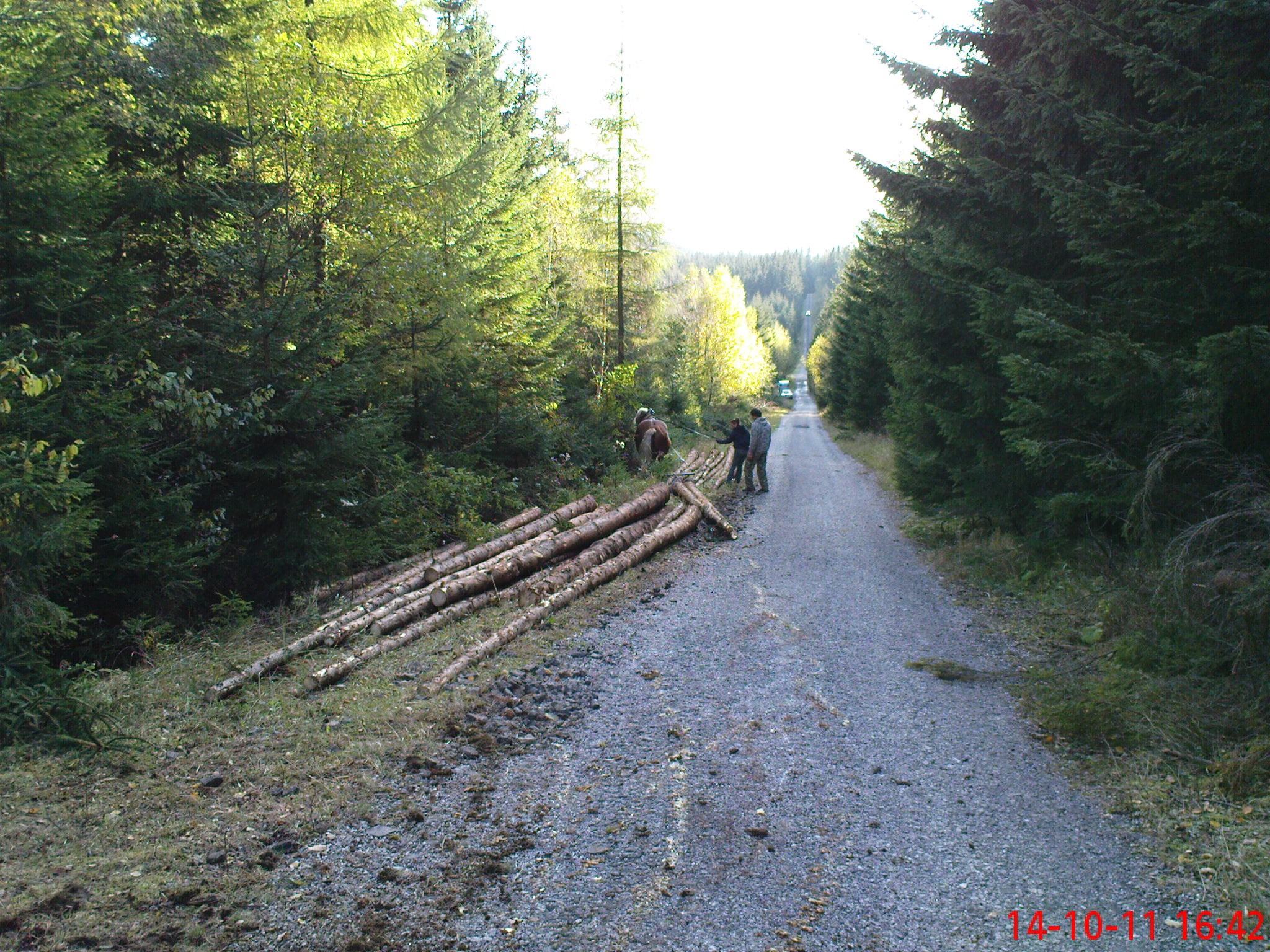 dsc05585.jpg