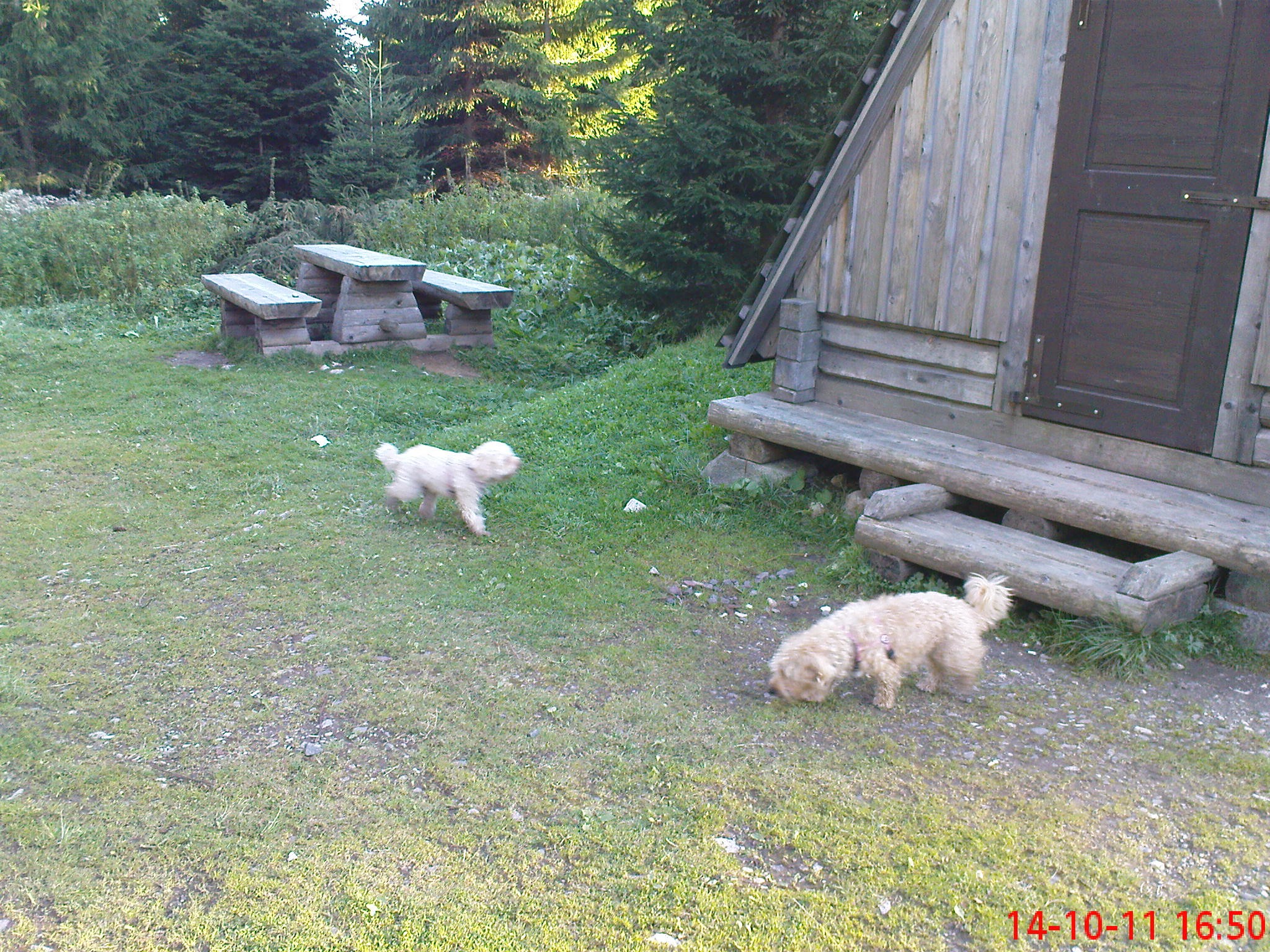 dsc05590.jpg
