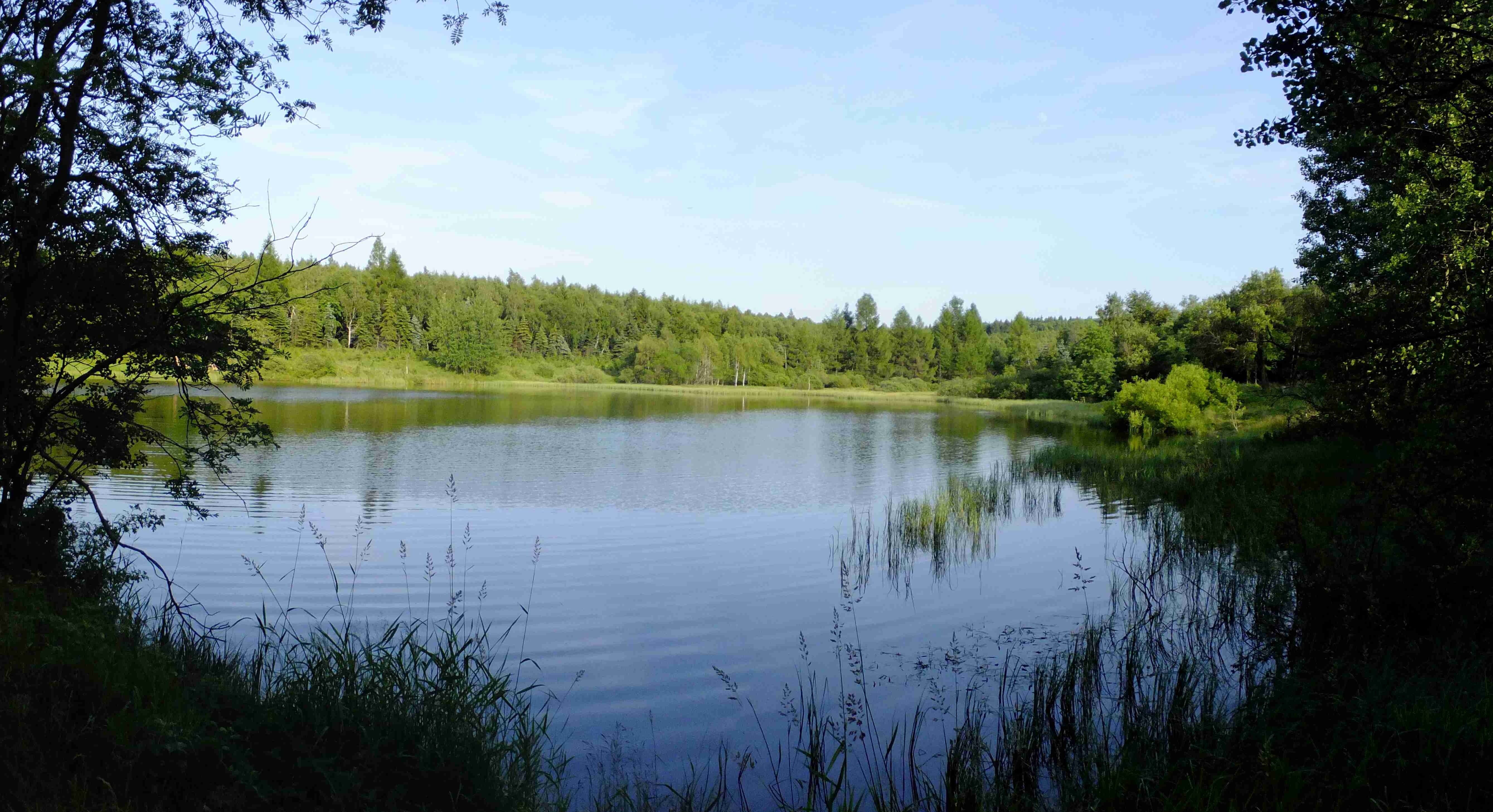 rybnik.jpg