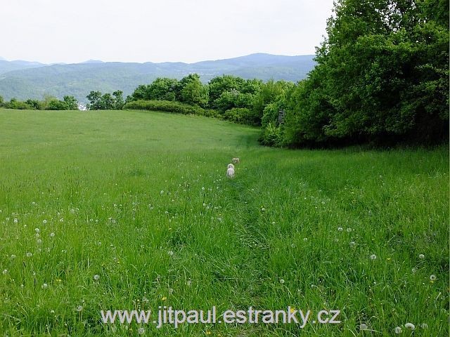 pekne-radou.jpg